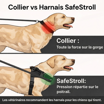 Harnais SafeStroll