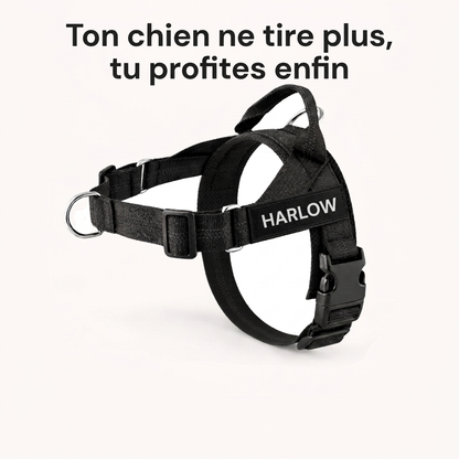 Harnais SafeStroll